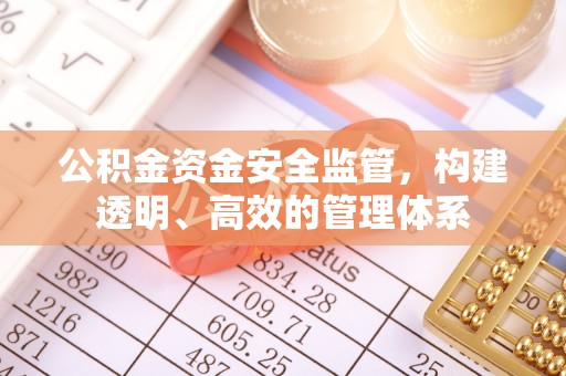 仑背公积金资金安全监管，构建透明、高效的管理体系