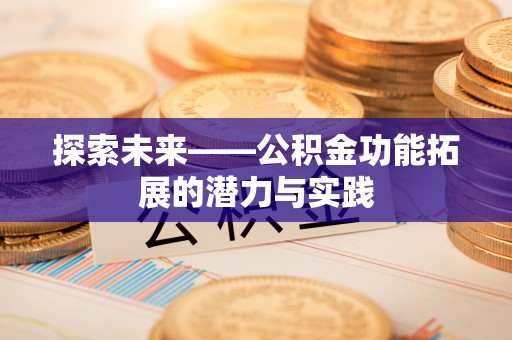 仑背探索未来——公积金功能拓展的潜力与实践