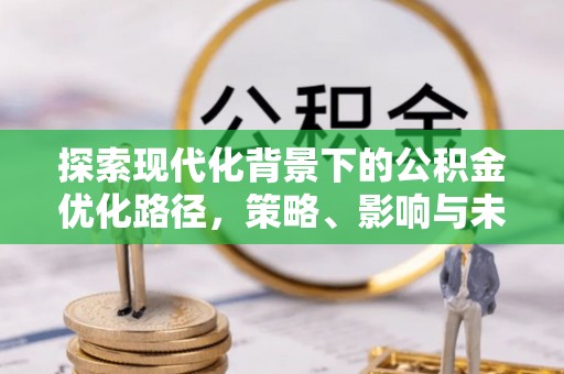 仑背探索现代化背景下的公积金优化路径，策略、影响与未来展望