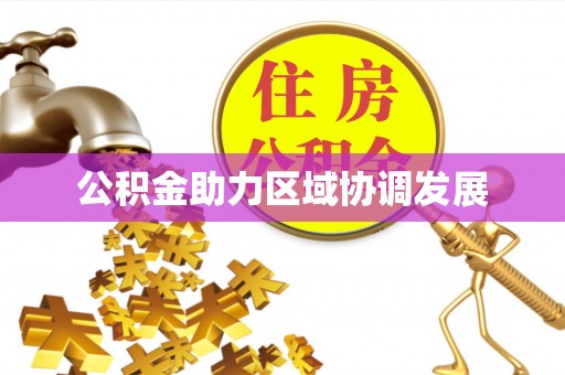 仑背公积金助力区域协调发展