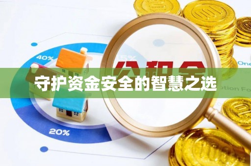 仑背守护资金安全的智慧之选