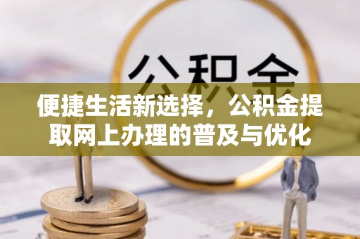 仑背便捷生活新选择，公积金提取网上办理的普及与优化