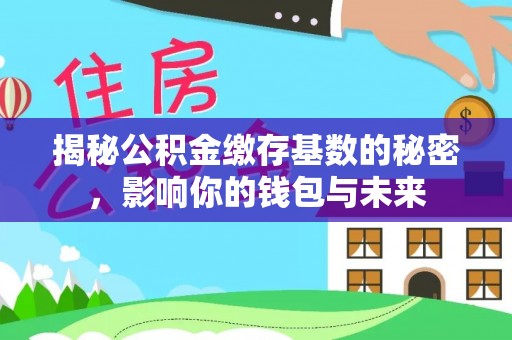仑背揭秘公积金缴存基数的秘密，影响你的钱包与未来