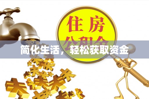 仑背简化生活，轻松获取资金