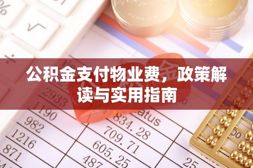 仑背公积金支付物业费，政策解读与实用指南