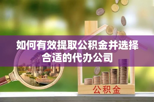 仑背如何有效提取公积金并选择合适的代办公司