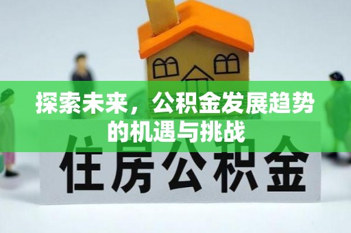 仑背探索未来，公积金发展趋势的机遇与挑战