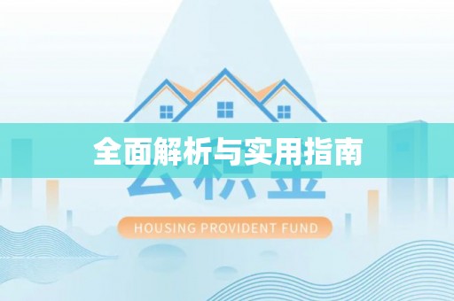仑背全面解析与实用指南