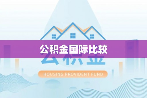 仑背公积金国际比较