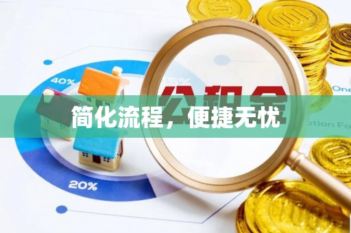 仑背简化流程，便捷无忧