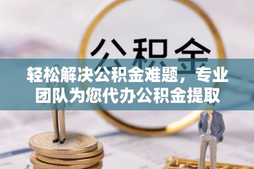 仑背轻松解决公积金难题，专业团队为您代办公积金提取
