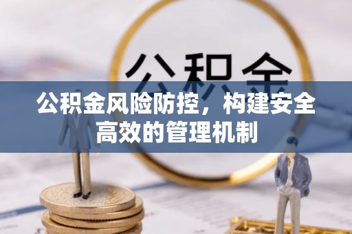 仑背公积金风险防控，构建安全高效的管理机制