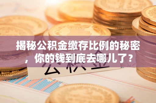 仑背揭秘公积金缴存比例的秘密，你的钱到底去哪儿了？