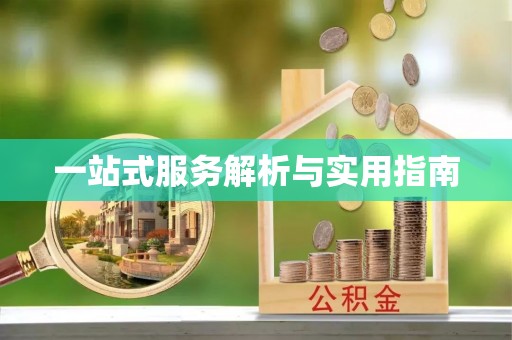 仑背一站式服务解析与实用指南