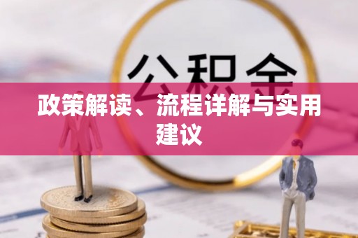 仑背政策解读、流程详解与实用建议