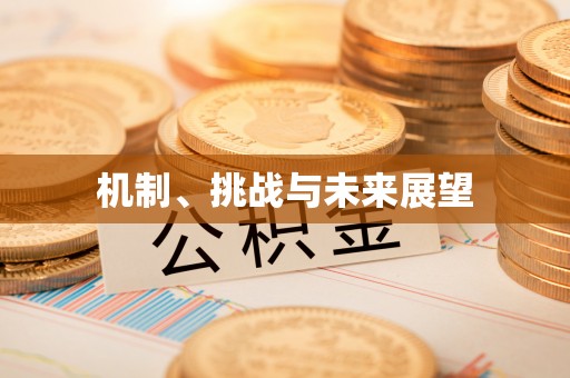 仑背机制、挑战与未来展望
