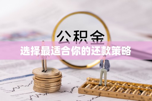 仑背选择最适合你的还款策略