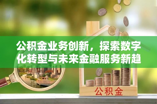 仑背公积金业务创新，探索数字化转型与未来金融服务新趋势