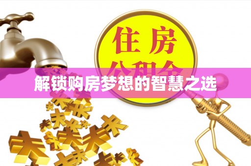仑背解锁购房梦想的智慧之选