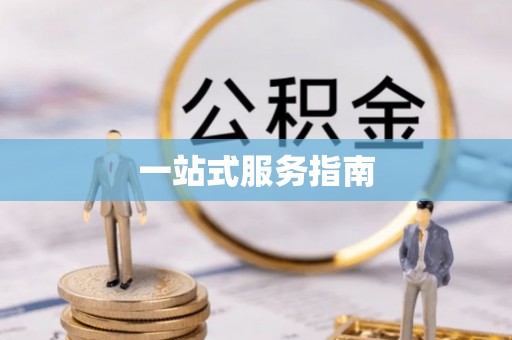 仑背一站式服务指南