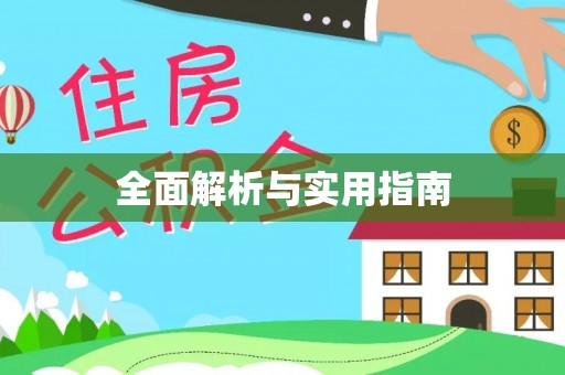 仑背全面解析与实用指南