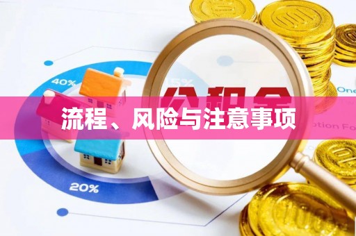 仑背流程、风险与注意事项