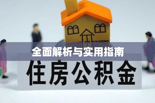 仑背全面解析与实用指南