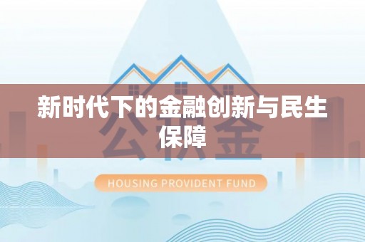 仑背新时代下的金融创新与民生保障